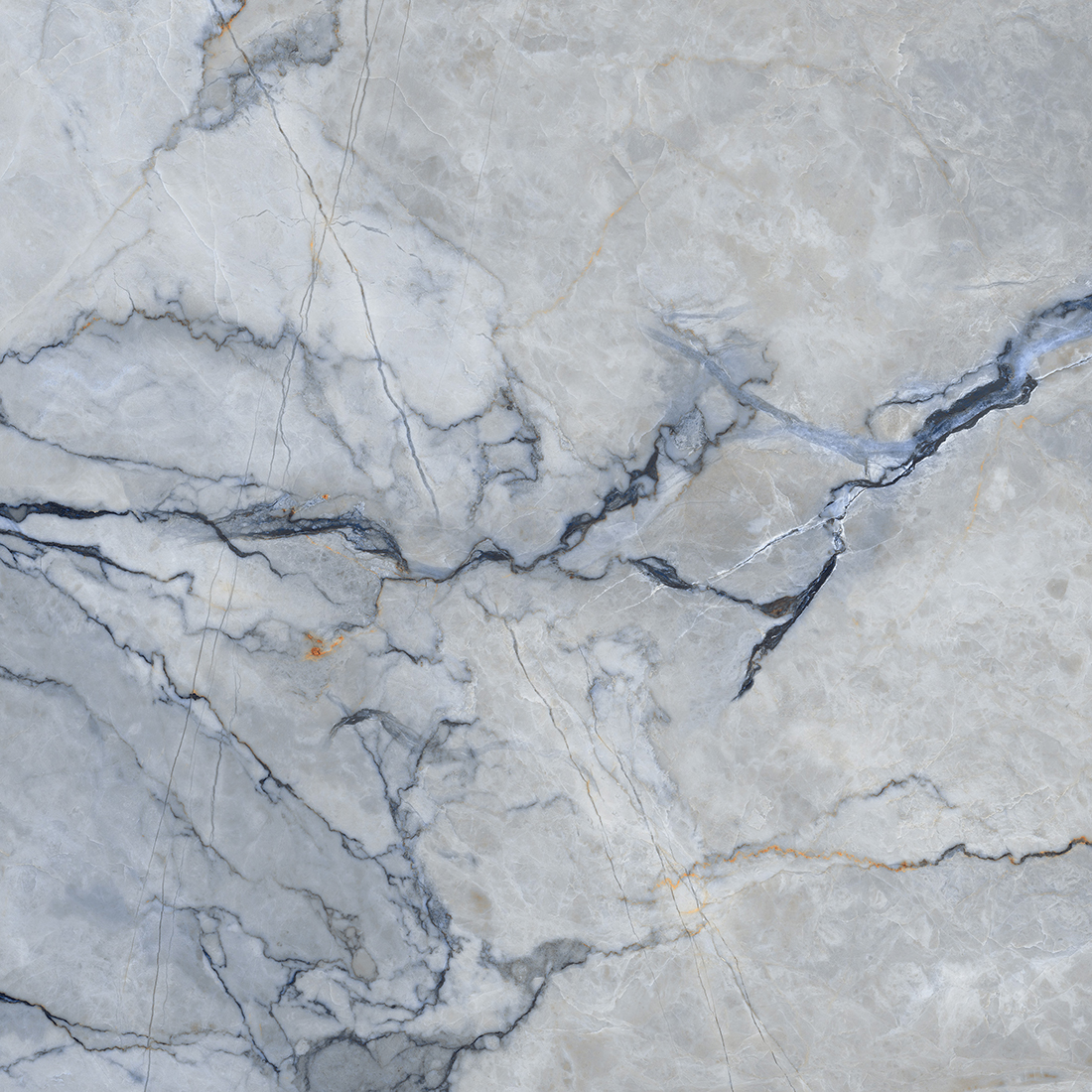 Marmo Silvestre 60x60 Blue Polished-image